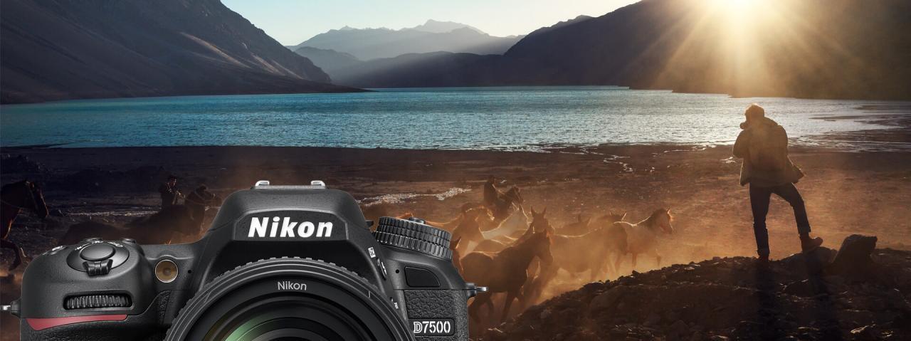 دوربین نیکون d7500
